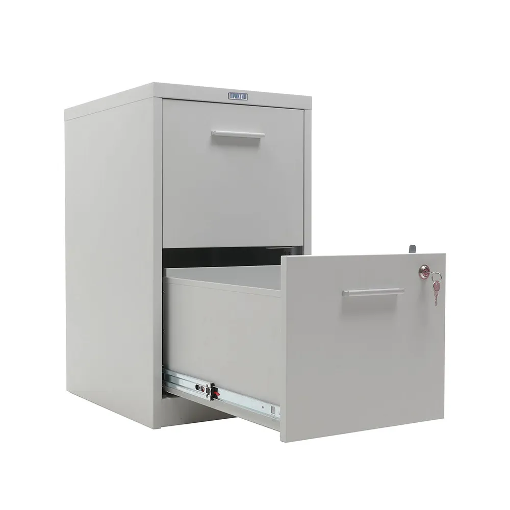 Картотека А-69/2 (А-42Т) 685*408*485