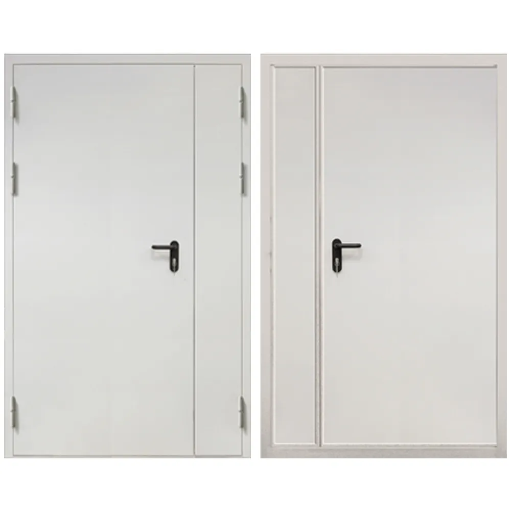 Дверь ДП-2-60-2050/1250/L